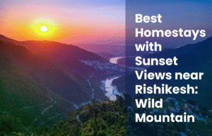 Best Homestays with Sunset Views near Rishikesh: Wild Mountain Homestay