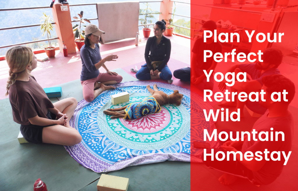 Plan Your Perfect Yoga Retreat at Wild Mountain Homestay