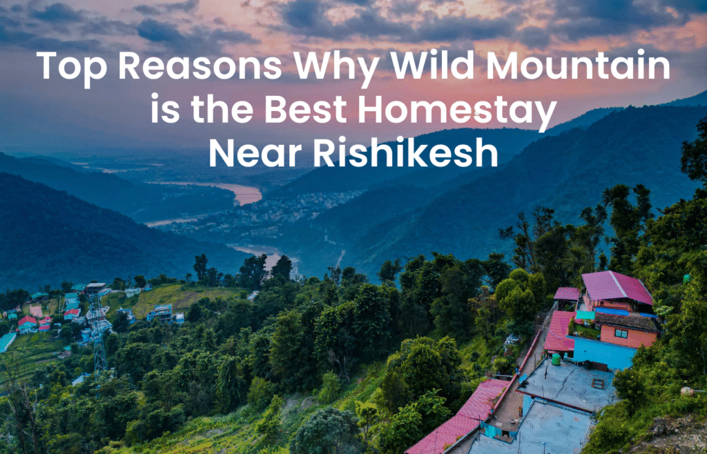 Top Reasons Why Wild Mountain is the Best Homestay Near Rishikesh